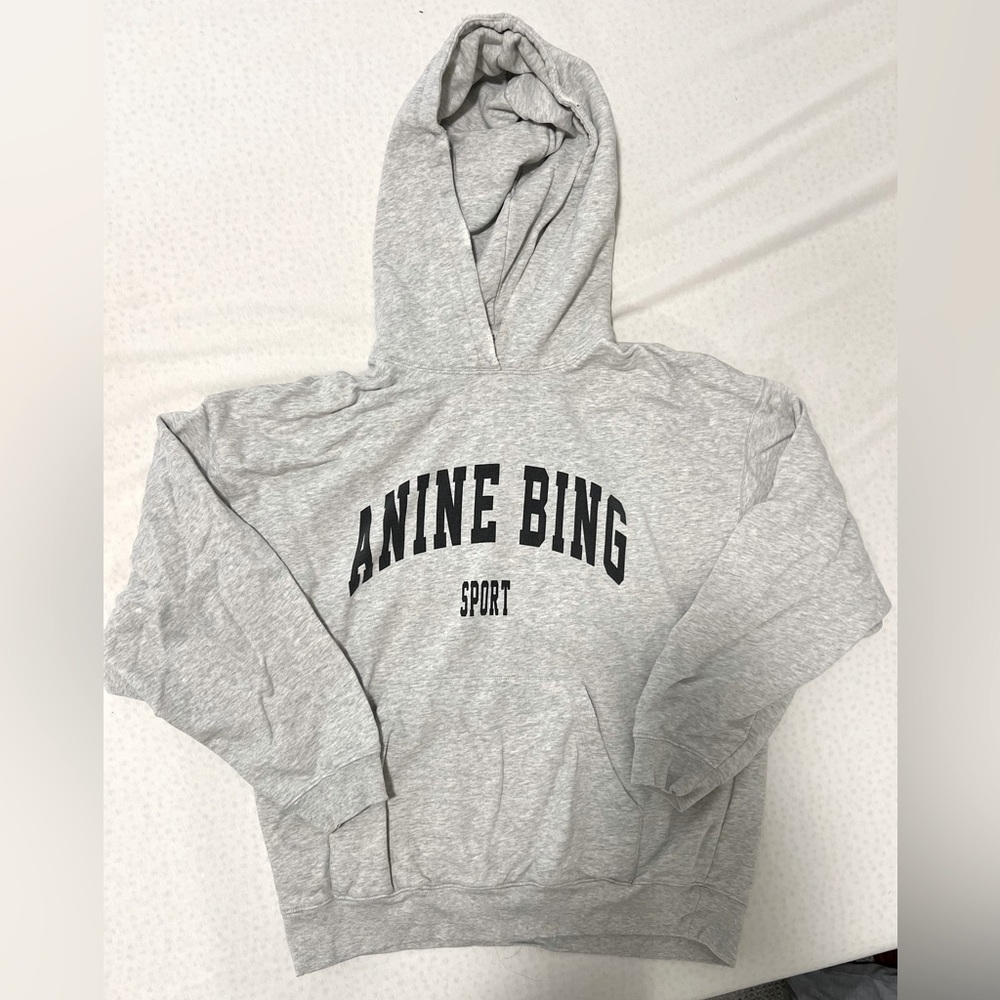 Anine Bing Gray Hoodie